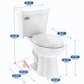Two - Piece Elongated 1.28 GPF Siphonic Flush Toilet with Soft Close Seat, Universal Height ADA Cotton White (Toilet Seat Included)