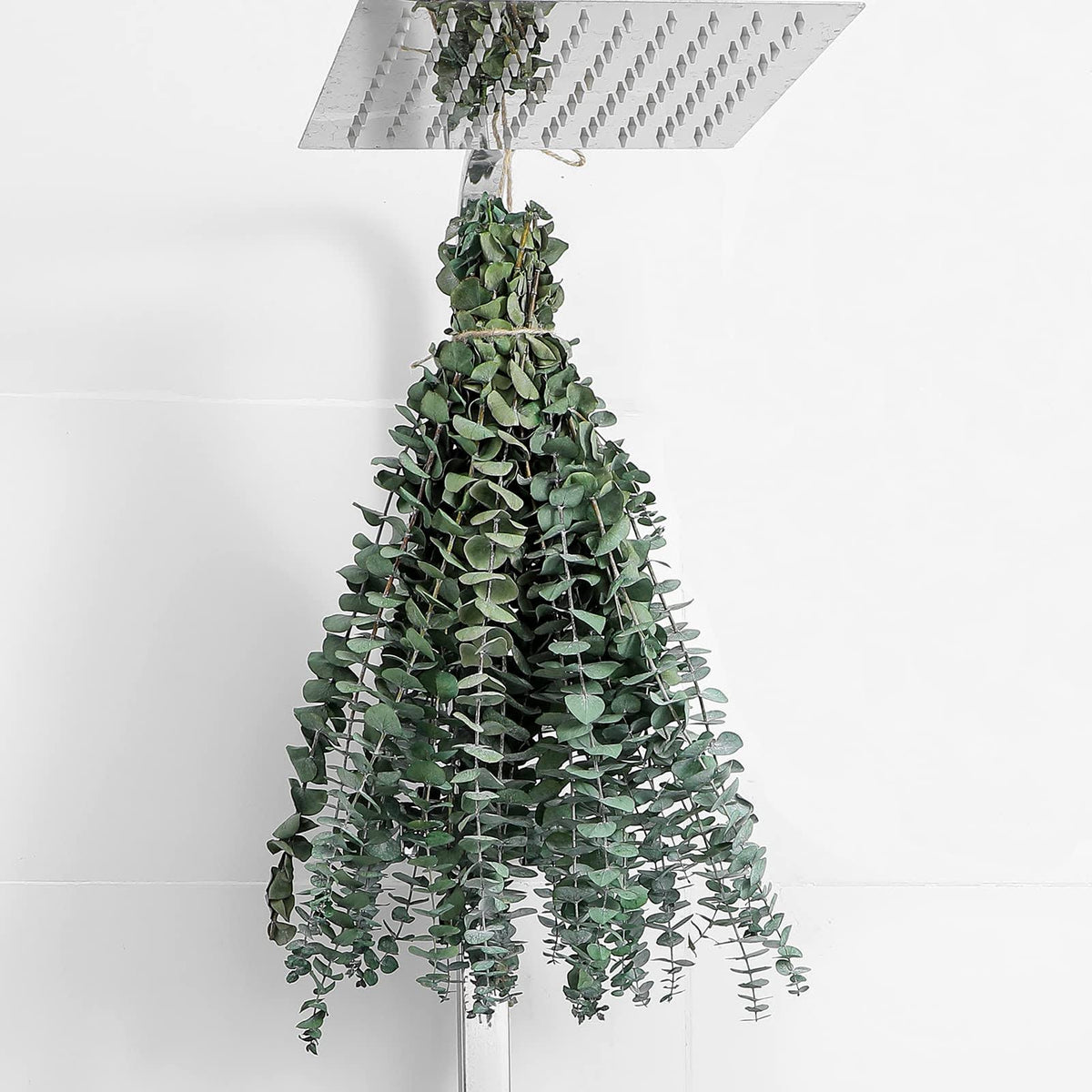 FAVOWREATH 10 Pcs Dried Eucalyptus Stems 17" Real Eucalyptus for Shower Hanging 100% Made from Fresh Eucalyptus Leaves, Wedding Decor Home Decor