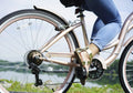 26 In. Bayside Women'S Cruiser Bike, Rosé Gold