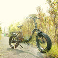 Folding Electric Bike for Adults, Ebikes for Adults 7 Speed Powerful 750W BAFANG Motor 20" 4.0 Fat Tire Foldable Mountain Snow Ebikes with Removable Lithium Battery