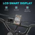 COLORWAY 750W 20"x4.0 Fat Tire Electric Bike, 48V 15ah Battery, Off - Road E - Bike for Adults, UL2849 Certified