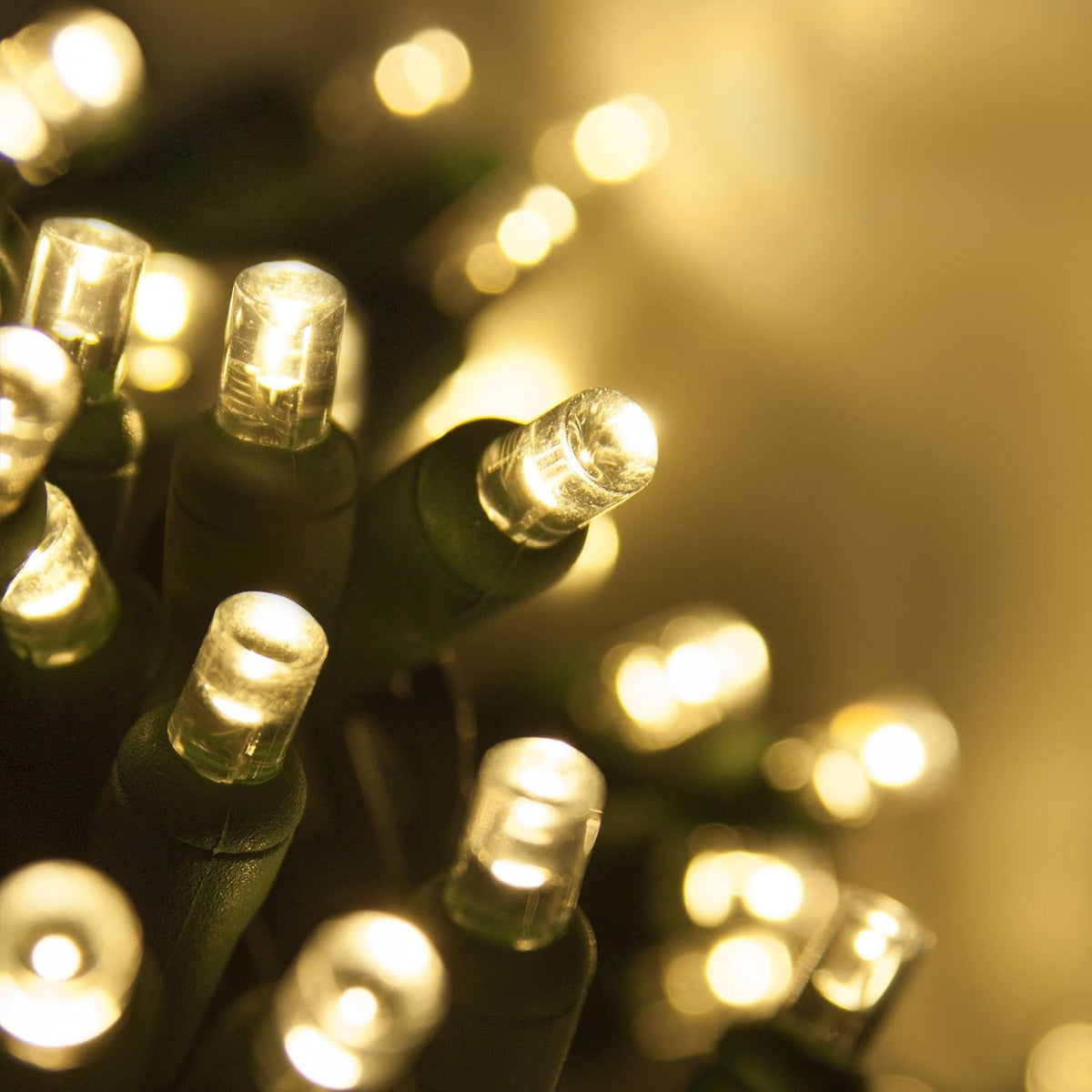 70 5mm Warm White LED Christmas Lights, Green Wire, 4" Spacing