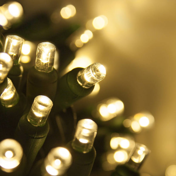 70 5mm Warm White LED Christmas Lights, Green Wire, 4" Spacing