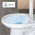 Two - Piece Elongated 1.28 GPF Siphonic Flush Toilet with Soft Close Seat, Universal Height ADA Cotton White (Toilet Seat Included)