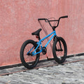 Cubsala 20 in Kids BMX Bike Freestylefor Age 6 - 14 Years Old Boys Girls with 4 Pegs, Black with Red Tires