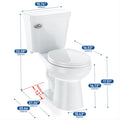 Two - Piece Elongated 1.28 GPF Siphonic Flush Toilet with Soft Close Seat, Universal Height ADA Cotton White (Toilet Seat Included)