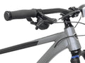 Bicycles 29" Men'S Trouvaille Mountain Bike Medium, Black and Taupe