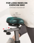 Naipo Exercise Bike Indoor Cycling Bike with 300 lb Big Seat Cushion for Home Cardio Leg Workout