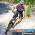 Ridstar 1500W Electric Bike for Adults, 33MPH 48V 20ah Electric Bicycle, 20" Fat Tire Full Suspension Mountain Bike UL2849