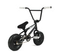 Mayhem Fat Tire Mini BMX Riot 1 Piece Crank 10" Mini BMX Newest Model Trick Bike (Riot Black Widow)