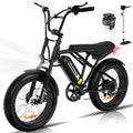COLORWAY 750W 20"x4.0 Fat Tire Electric Bike, 48V 15ah Battery, Off - Road E - Bike for Adults, UL2849 Certified