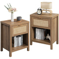 Surmoby Rattan Nightstand Set of 2, Farmhouse Bedside Tables with Drawer and Storage Shelf, Natural Boho End Table Side Table for Bedroom, Living Room