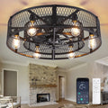 26 - Inch Farmhouse Caged Ceiling Fan with Light, Remote & APP Control Quiet DC Motor E26 Bulbs Included Black