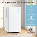 32 Pint Dehumidifier with 3.3FT Drain Hose, 24H Timer & 3 - Color Indicator, 2000 Sq.Ft Portable Dehumidifier for Basement, Bedroom, Bathroom